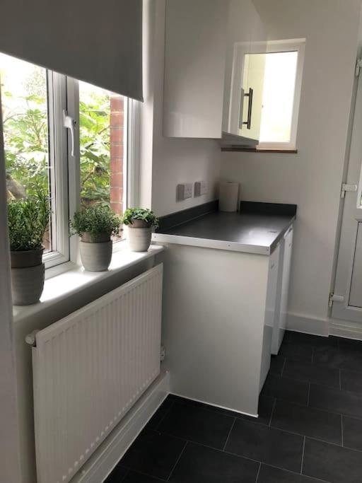 Appartement Garden Flat In Central Location à Londres Extérieur photo